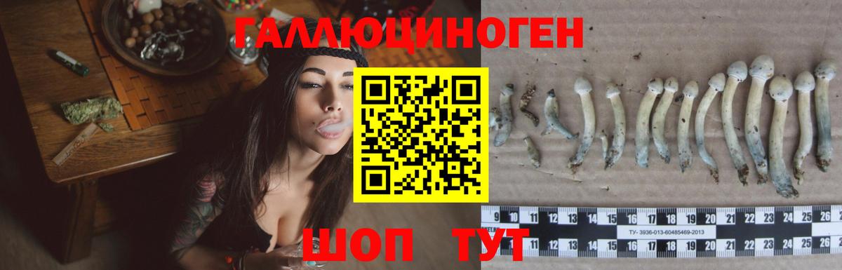 Псилоцибиновые грибы мицелий  Псилоцибиновые грибы ЛСД  Вход с VPN  Качканар 